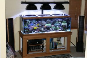 Chi Tiet Ve Cac Buoc Huong Dan Lam Den Led Cho Be Ca