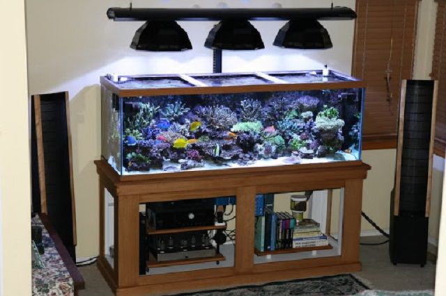 Hướng dẫn làm đèn led cho bể cá 1 Chi Tiet Ve Cac Buoc Huong Dan Lam Den Led Cho Be Ca